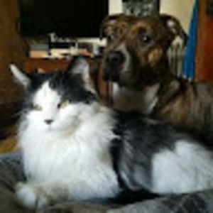 Meet your Posher, Alexa